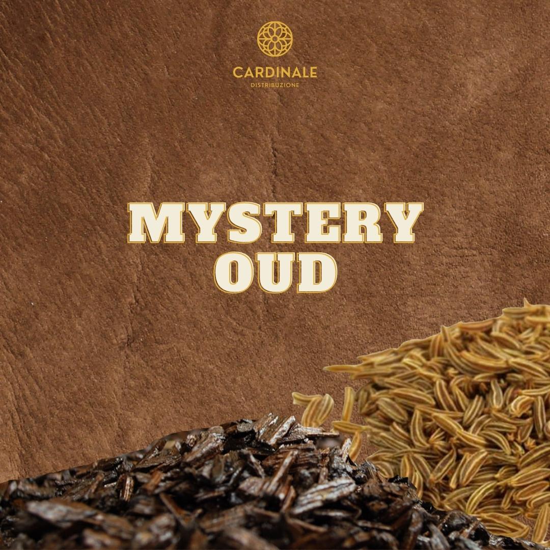 MYSTERY OUD - Daniel Josier