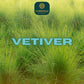 VETIVER - Daniel Josier