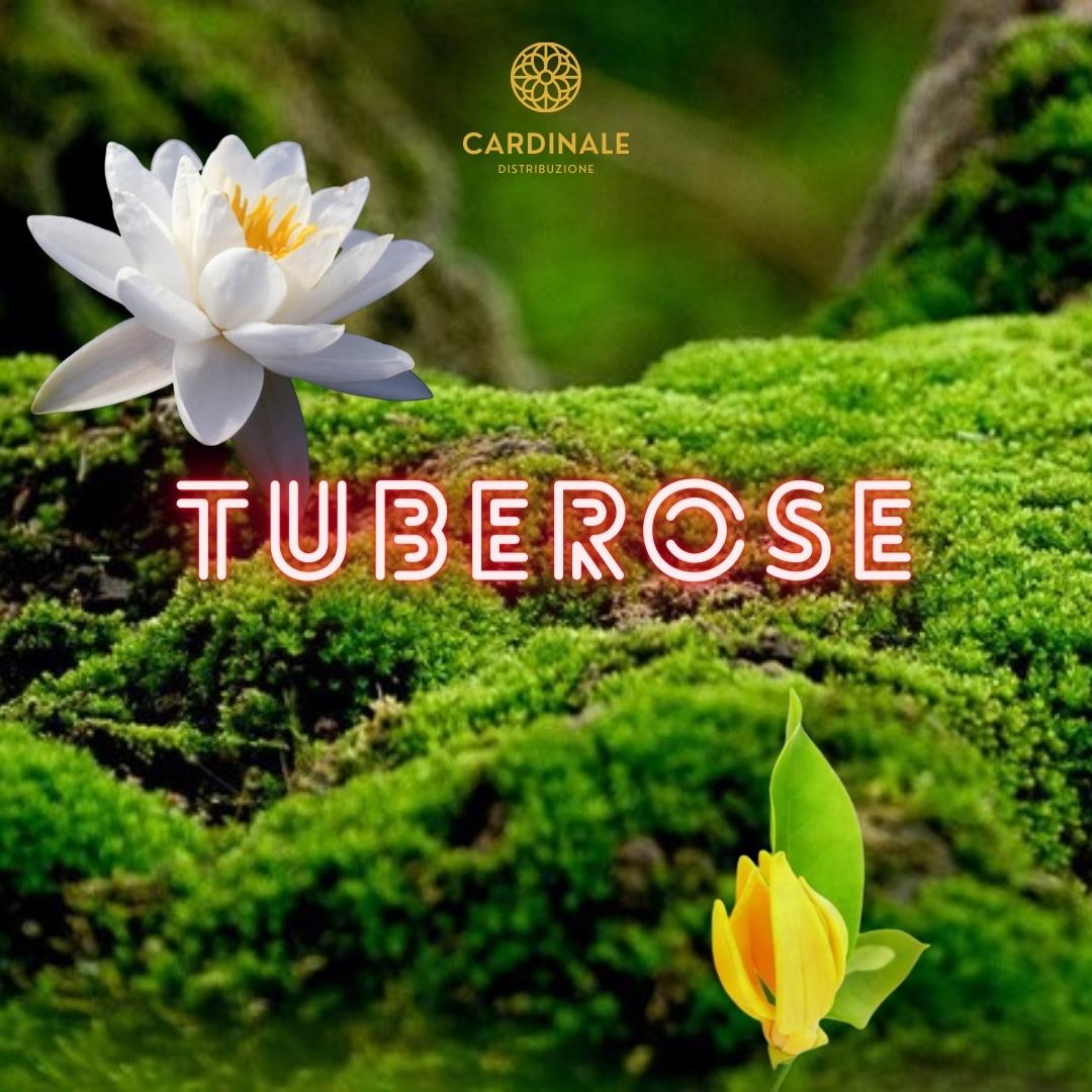 TUBEROSE - Daniel Josier