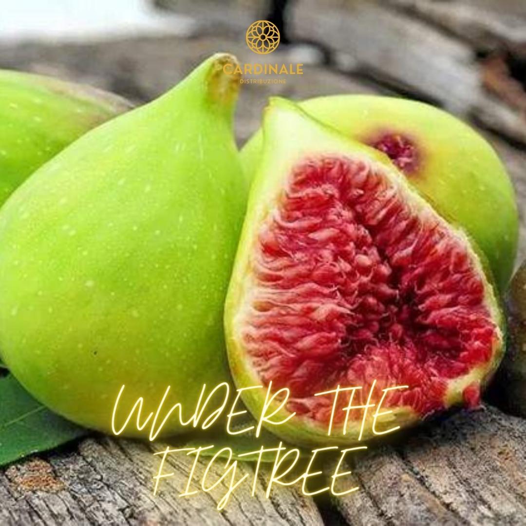 UNDER THE FIGTREE - Daniel Josier
