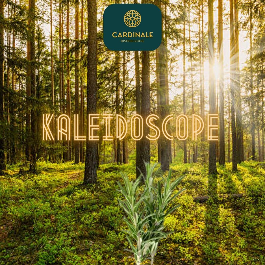 KALEIDOSCOPE - Daniel Josier
