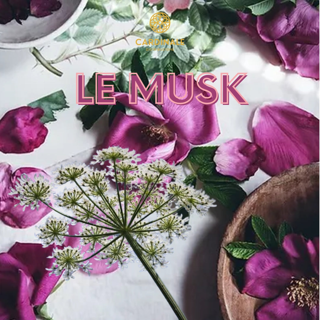 LE MUSK - Daniel Josier
