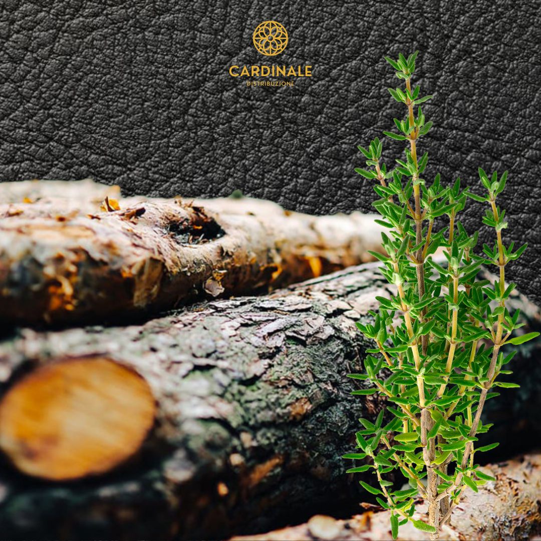 GREEN LEATHER - Daniel Josier